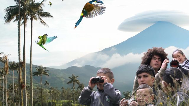 GARDIENS DES OISEAUX